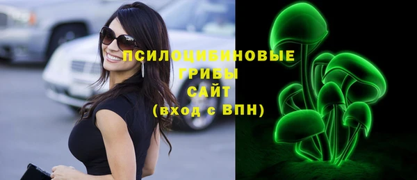 не бодяженный Алзамай