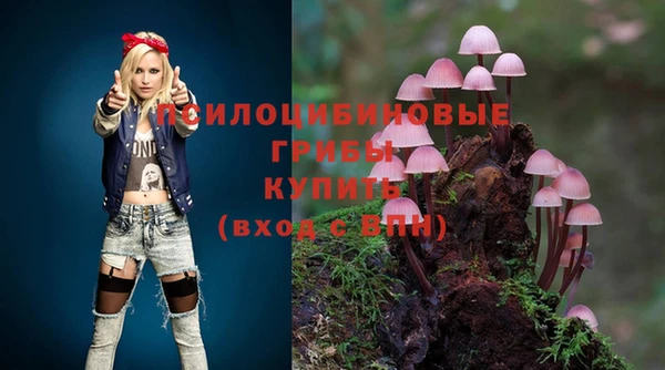 не бодяженный Алзамай