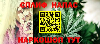 apvp Гусев