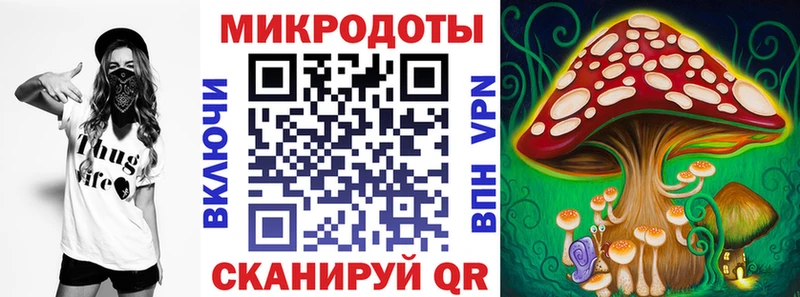 Псилоцибиновые грибы мицелий  ОМГ ОМГ ССЫЛКА  Новозыбков 