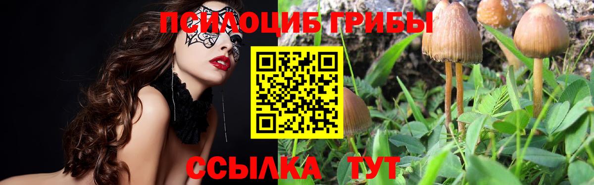 что такое   Галлюциногенные грибы GOLDEN TEACHER  Вход с VPN  Новозыбков 