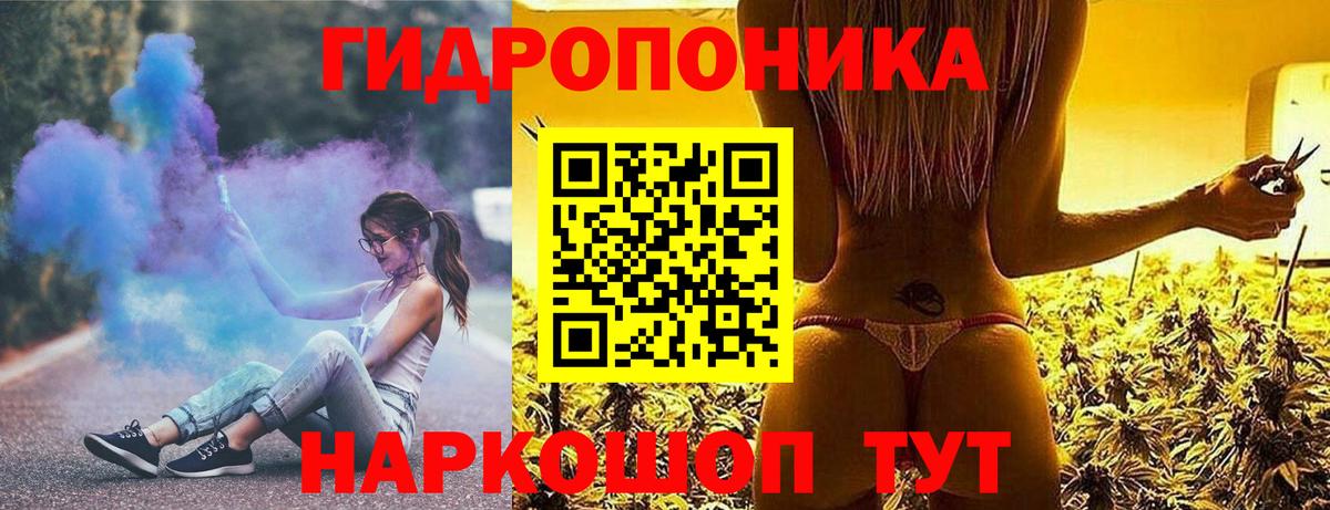 Конопля гибрид  Каннабис MAZAR  Каннабис тримм  Вход с VPN  Новозыбков  Бошки Шишки MAZAR 